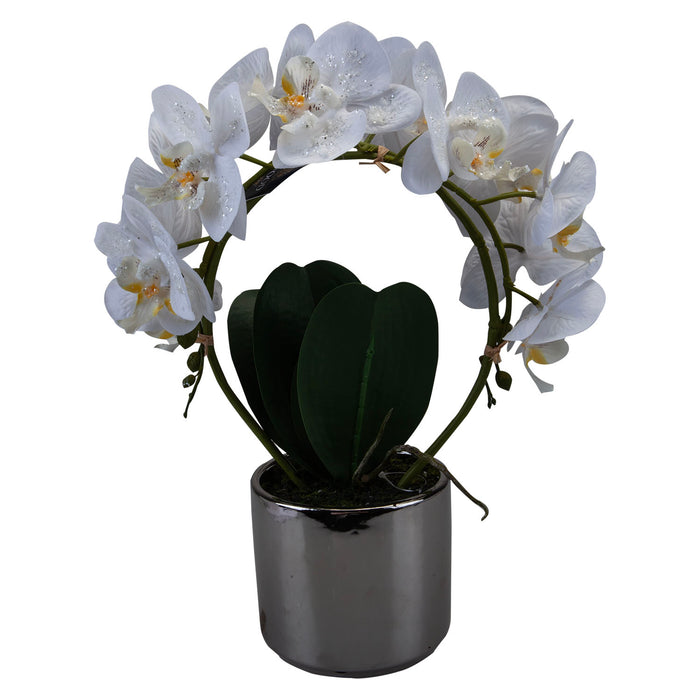 Phalaenopsis Potted Plant Artificial Decoration X 1 36. 6x27. 5x13. 2cm Cream