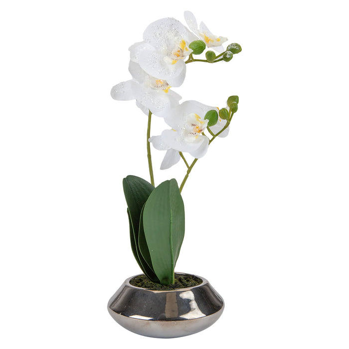 Phalaenopsis Sequins Potted Plant Artificial X 1 39. 8cm x 17. 7cm x 24. 5cm Cream