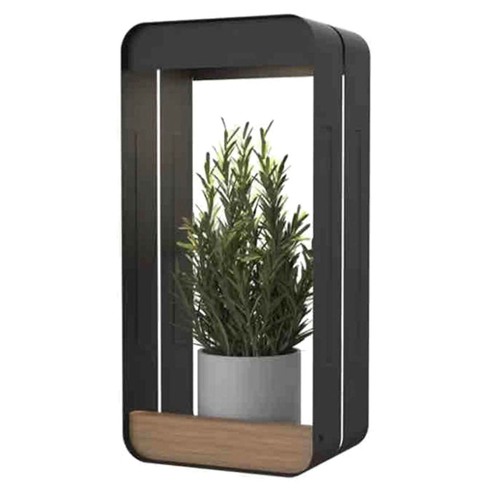 Solar Wall Light & Planter Warm White Light Decorations 16cm x 34cm White X 1