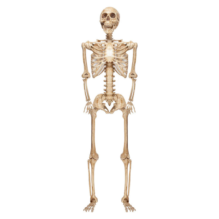 Giant 7ft Halloween Skeleton Hanging Decoration Trick or Treat Party White