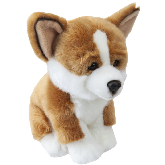 Corgi Puppy 25cm Plush Premium Lifelike Toy - Natural World Collection