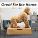 Ape Money Box Man Cave Décor Fun Ideal Accessories Home Bar 16cm Gold