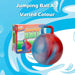 Jumping Ball Assorted Colours Outdoor Summer Garden Game