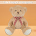 Bear Soft Toy with Checked Bow Plush 30cm x 20cm Brown X 1