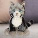 American Short Hair Cat Soft Toy Premium Quality Grey - 30cm x 12cm