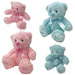 New Baby Bear - Soft Toy