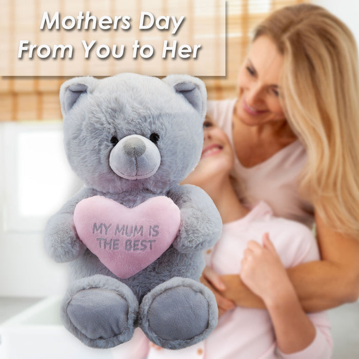 Mother's Day Bear Soft Toy Pink Heart Mum Plush Teddy Bear Gift Grey Bear 28cm