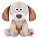 Fartypants Dog Soft Toy With Sound Chip Feature Multi - 25cm x 12cm