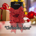 Tinsel Bows x 2 Christmas Decoration X 2 13cm x 17cm x 4.5cm Red