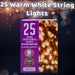 Christmas Warm White String Lights 25 Bulbs 2m - 50cm Lead X 1