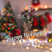 Red Berry Candy Pick With Hang Tag Christmas Decoration Ornament