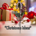 Red Berry Candy Pick With Hang Tag Christmas Decoration Ornament