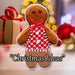 Christmas Ginger Bread Woman Hanging Decoration 20cm x 13cm Red X 1