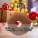 Christmas Doughnut Hanging Decoration 26cm x 16cm Multi X 1