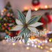 Christmas Poinsettia Clip Decoration 14cm x 4cm Green X 1