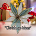 Christmas Poinsettia Clip Decoration 14cm x 4cm Green X 1