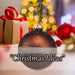 Christmas Hanging Glass Bauble Decoration 10cm x 8cm Copper X 1