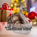 Christmas Swan Decoration 27cm x 24cm Gold X 1