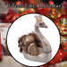 Christmas Swan Decoration 27cm x 24cm Gold X 1