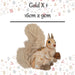 Christmas Squirrel Decoration 16cm x 9cm Gold X 1