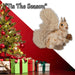 Christmas Squirrel Decoration 16cm x 9cm Gold X 1