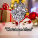 Christmas Eucalyptus Bush Decoration 28cm x 16cm Silver X 1