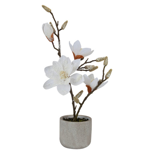 Fabric Magnolia Tree Snow Potted Plant Artificial X 1 47.7cm x 30.5cm Cream