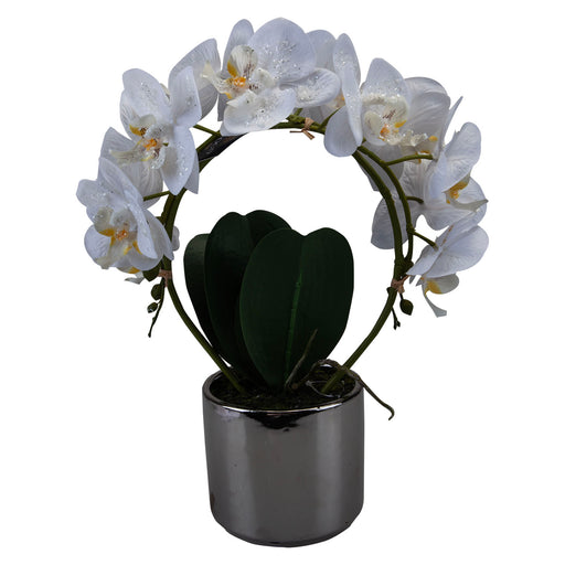 Phalaenopsis Potted Plant Artificial Decoration X 1 36.6x27.5x13.2cm Cream