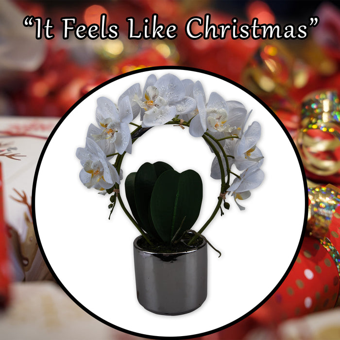Phalaenopsis Potted Plant Artificial Decoration X 1 36. 6x27. 5x13. 2cm Cream