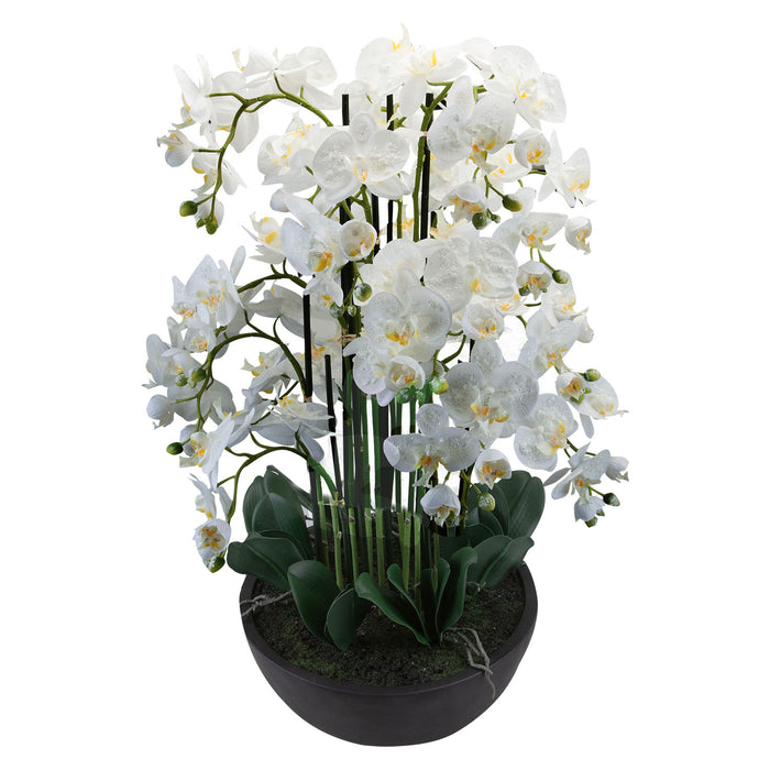 90Cm Real Touch Phalaenopsis Spray Christmas Pot X 1 90cm Cream