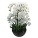 90Cm Real Touch Phalaenopsis Spray Christmas Pot X 1 90cm Cream
