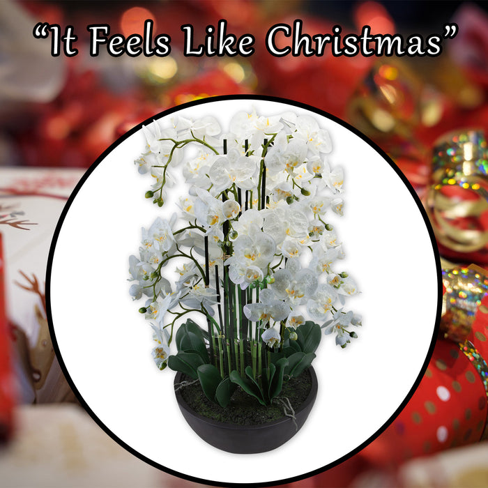 90Cm Real Touch Phalaenopsis Spray Christmas Pot X 1 90cm Cream
