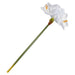Christmas Amaryllis Sequins Spray X 1 78. 4cm x 21. 5cm x 16. 8cm