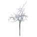 Christmas Curly Twig Pick Decoration 21cm x 15cm Silver X 1