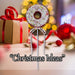 Christmas Doughnut Pick Decoration 51cm x 17cm Red X 1