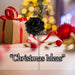 Christmas Rose Spray Pick Decoration 80cm x 16cm Black X 1