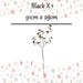 Christmas Daisy Spray Decoration 91cm x 29cm Black X 1