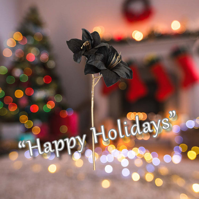 Christmas Amarylis Spray Decoration 56cm x 22cm Black X 1