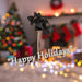 Christmas Amarylis Spray Decoration 56cm x 22cm Black X 1