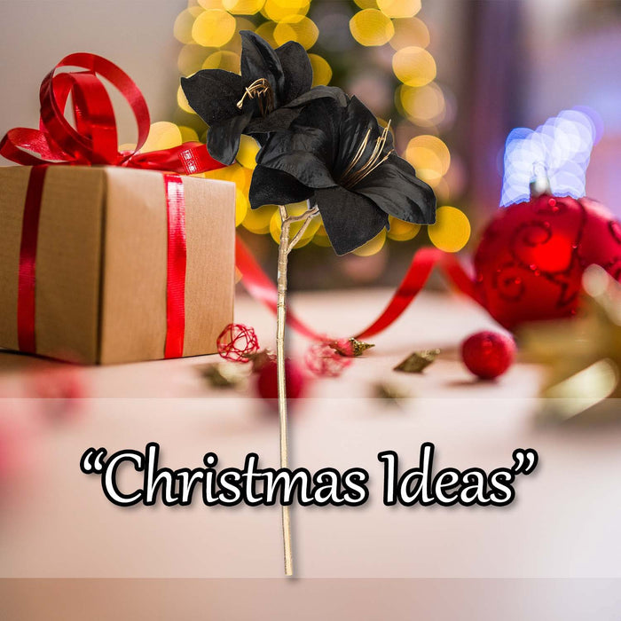 Christmas Amarylis Spray Decoration 56cm x 22cm Black X 1