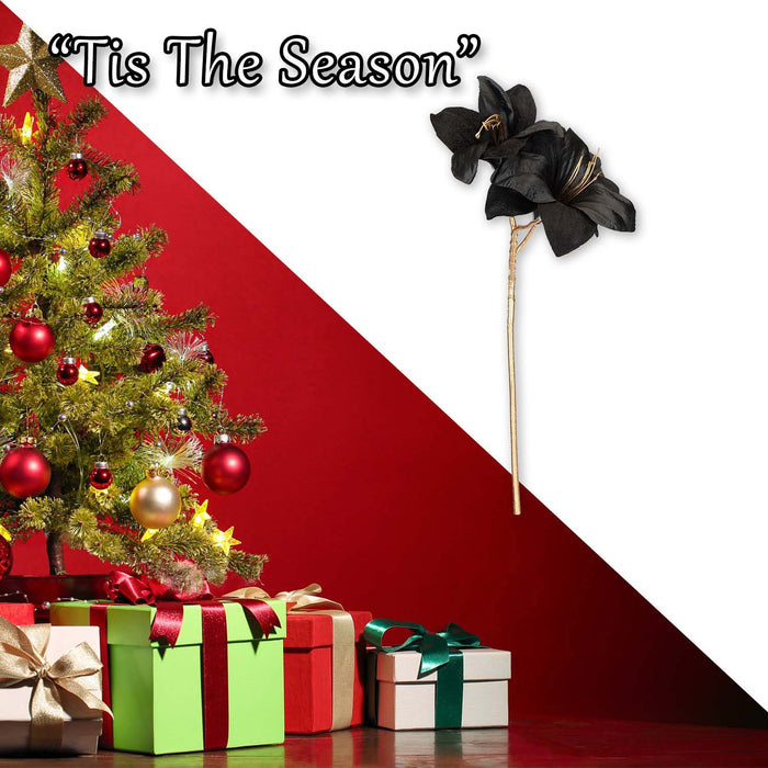 Christmas Amarylis Spray Decoration 56cm x 22cm Black X 1