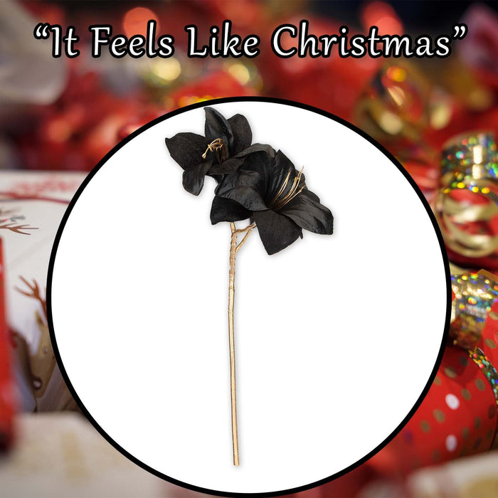 Christmas Amarylis Spray Decoration 56cm x 22cm Black X 1