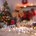 Christmas Long Stem with Glitter Decoration 60cm x 22cm Orange X 1