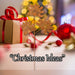 Christmas Long Stem with Glitter Decoration 60cm x 22cm Orange X 1