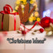 Christmas Long Stem with Glitter Decoration 80cm x 27cm Orange X 1