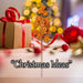 Christmas Long Stem with Glitter Decoration 65cm x 20cm Orange X 1