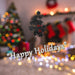 Christmas Long Stem with Glitter Decoration 65cm x 20cm Black X 1