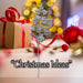Christmas Long Stem with Glitter Decoration 65cm x 20cm Silver X 1