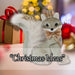 Christmas Velvet Fox Decoration 20cm x 9cm Green X 1