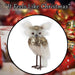 Christmas Velvet Owl Decoration 23cm x 15cm Green X 1